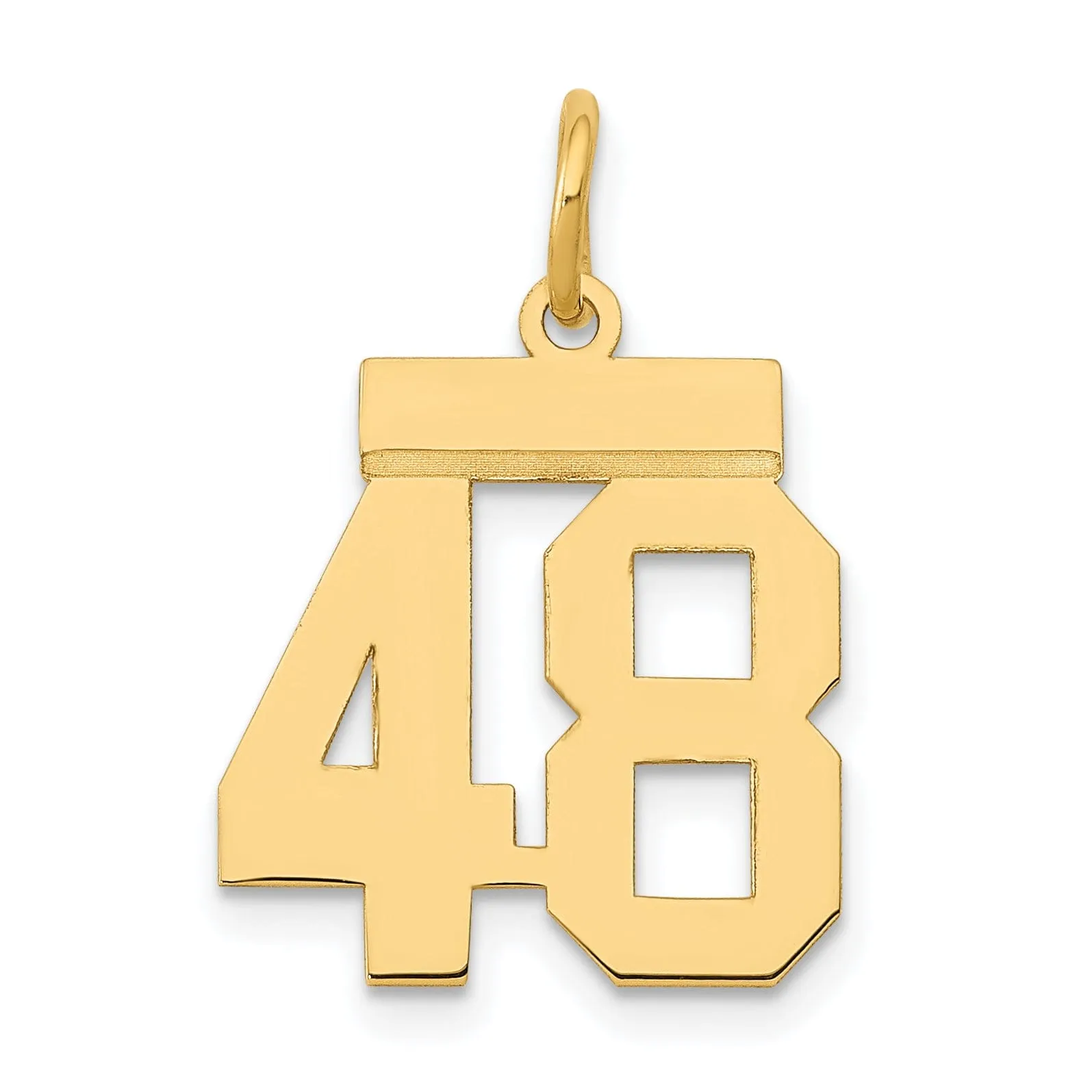 14k Yellow Gold Polished Finish Small Size Number 48 Charm Pendant