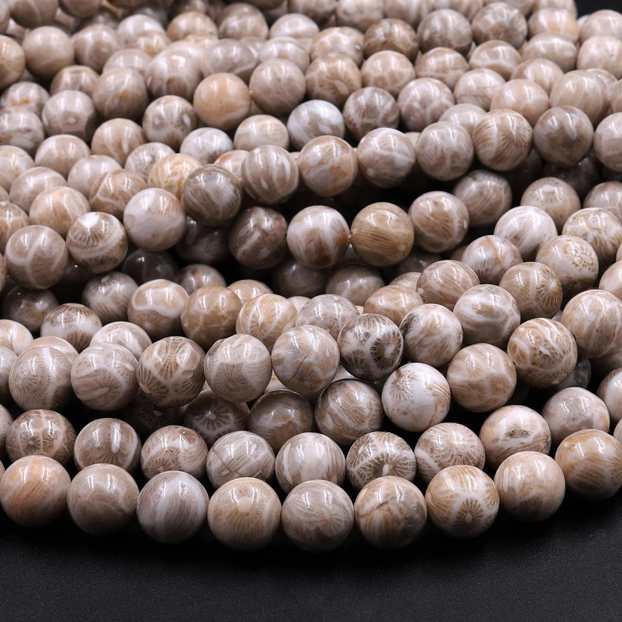 A  Natural Michigan Petoskey Stone Fossil Coral Round 6mm  8mm 10mm 12mm Round Beads Earthy Gray Brown Tan Beige Beads 16" Strand