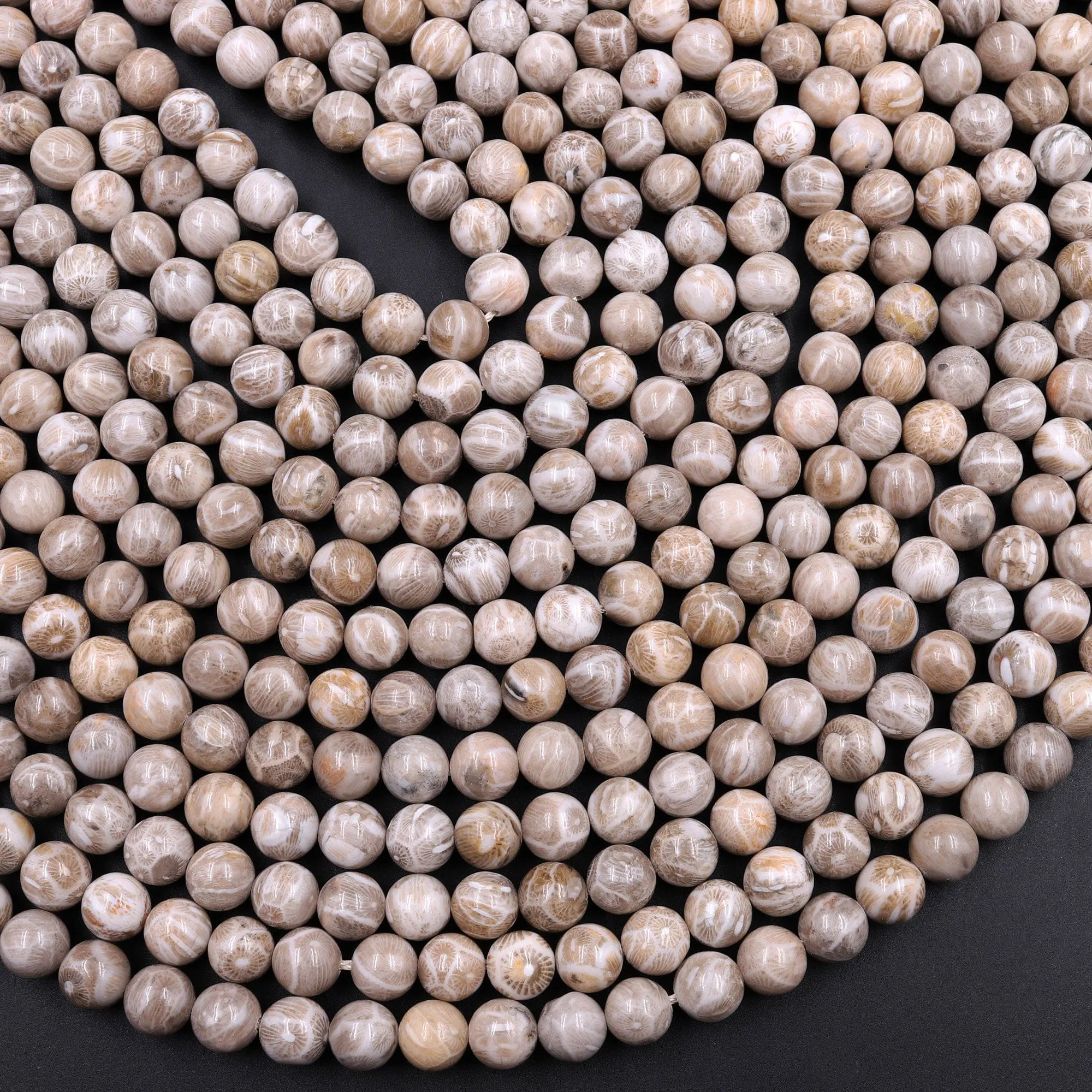 A  Natural Michigan Petoskey Stone Fossil Coral Round 6mm  8mm 10mm 12mm Round Beads Earthy Gray Brown Tan Beige Beads 16" Strand