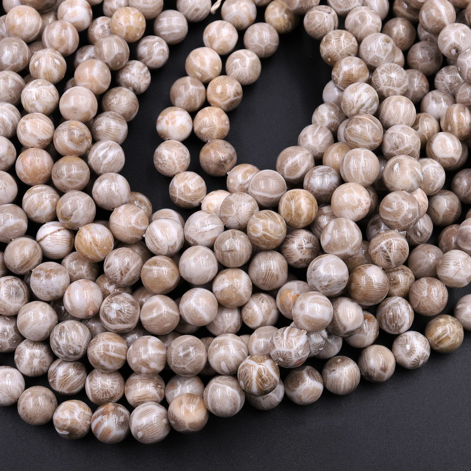 A  Natural Michigan Petoskey Stone Fossil Coral Round 6mm  8mm 10mm 12mm Round Beads Earthy Gray Brown Tan Beige Beads 16" Strand