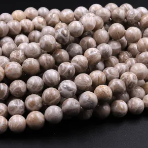 A  Natural Michigan Petoskey Stone Fossil Coral Round 6mm  8mm 10mm 12mm Round Beads Earthy Gray Brown Tan Beige Beads 16" Strand