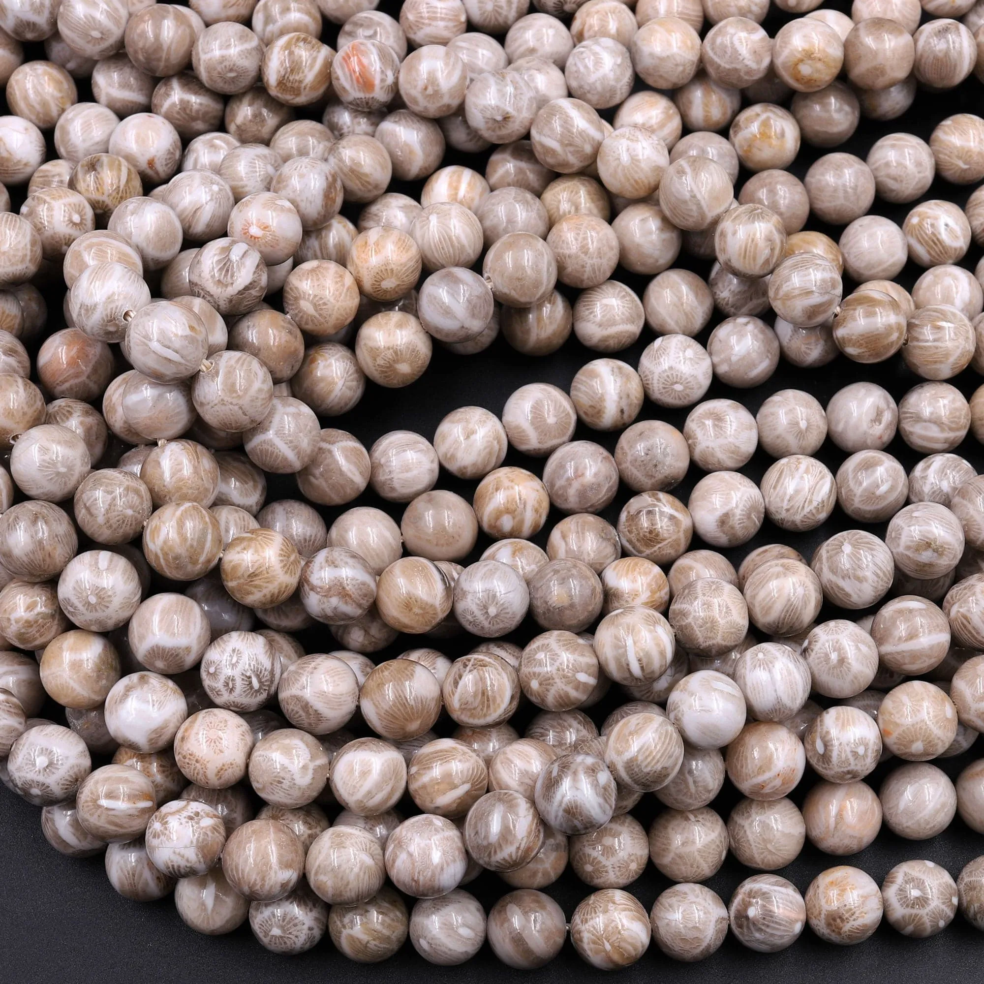 A  Natural Michigan Petoskey Stone Fossil Coral Round 6mm  8mm 10mm 12mm Round Beads Earthy Gray Brown Tan Beige Beads 16" Strand