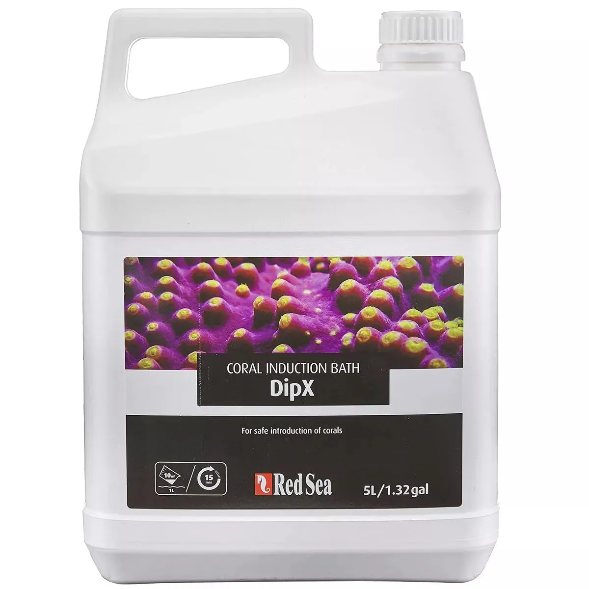 DipX Coral Bath - Red Sea