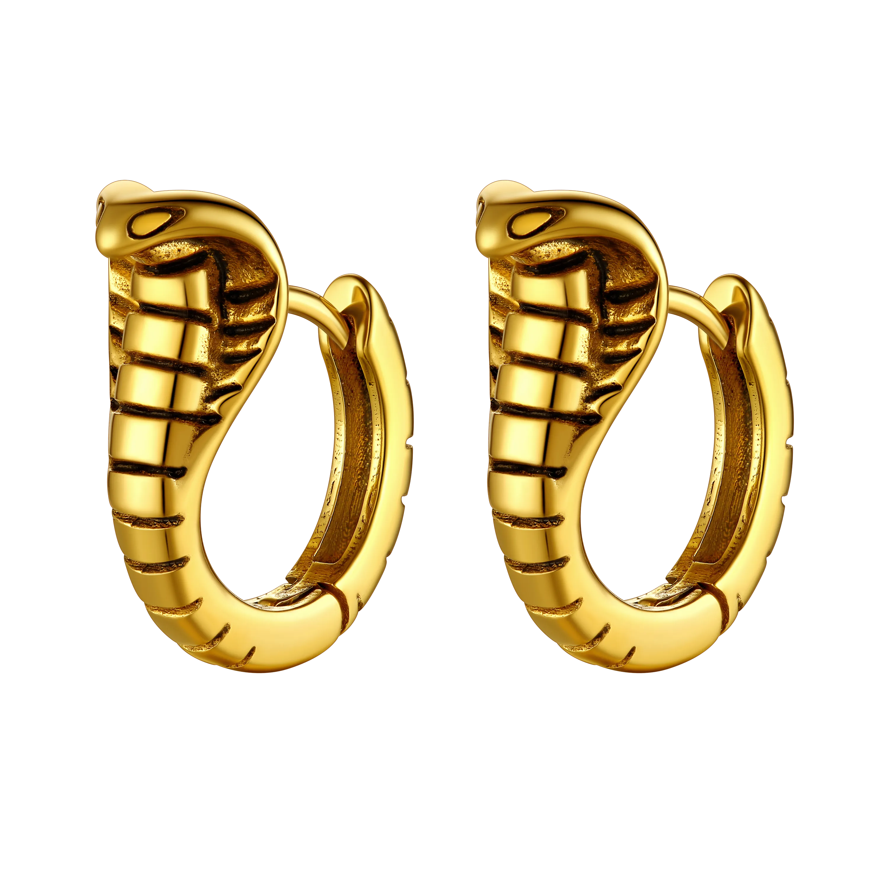 Gothic Punk Snake Hoop Earrings for Men Women