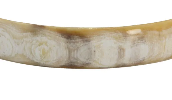 Medium Watusi Cow Horn Bangle Set