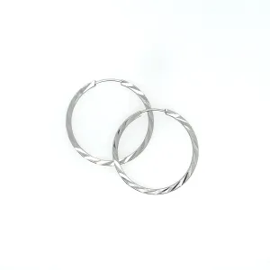 P222 DC Hoop Earrings